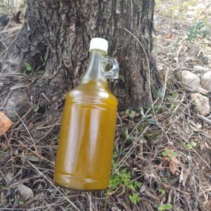 olive oil bottle